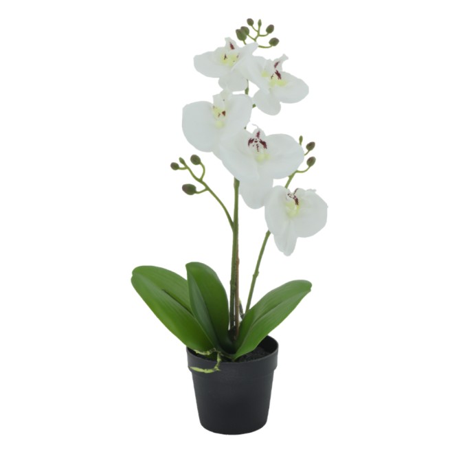 ORCHID 3 ΤΕΧΝΗΤΟ ΦΥΤΟ PE/PP PEVA ΛΕΥΚΟ ΠΡΑΣΙΝΟ H35cm