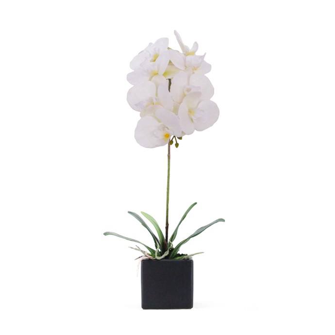 ORCHIDEA 4 ΤΕΧΝΗΤΟ ΛΟΥΛΟΥΔΙ PEVA ΚΕΡΑΜΙΚΟ ΛΕΥΚΟ H63cm