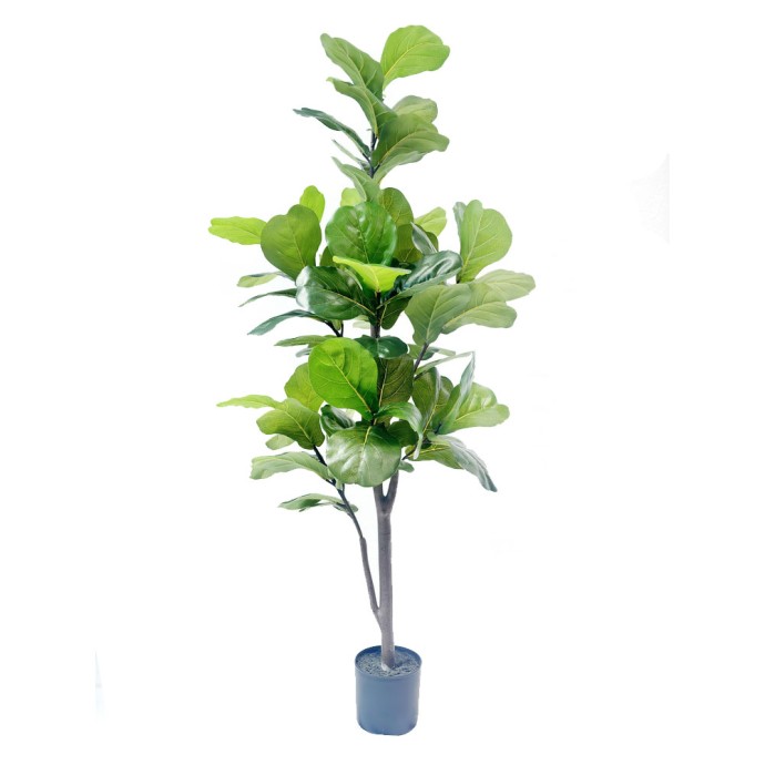 FICUS PANDURATA ΔΕΝΤΡΟ ΤΕΧΝΗΤΟ ΣΕ ΓΛΑΣΤΡΑ ΥΦΑΣΜΑ PVC ΠΡΑΣΙΝΟ 180