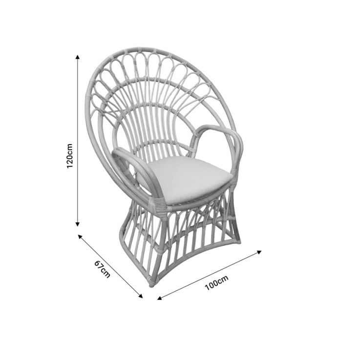 BOLONI ΠΟΛΥΘΡΟΝΑ ΜΕ ΜΠΕΖ ΜΑΞΙΛΑΡΙ-ΦΥΣΙΚΟ RATTAN 100X67X120ΕΚ