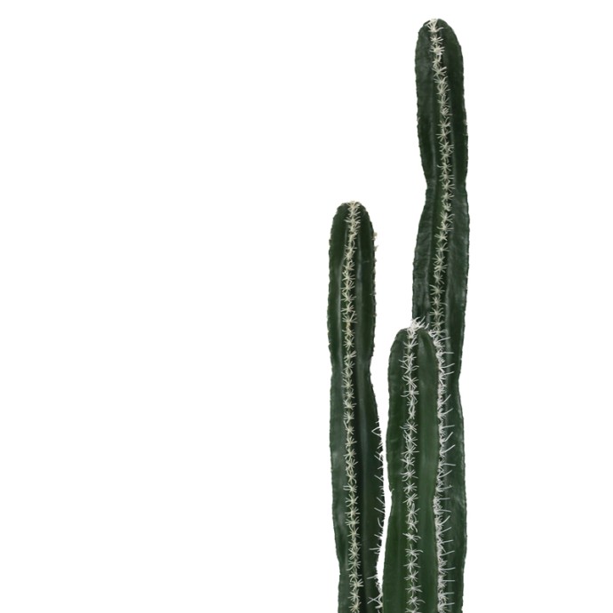 ΔΙΑΚΟΣΜΗΤΙΚΟ ΦΥΤΟ CACTUS II ΣΕ ΓΛΑΣΤΡΑ INART ΠΡΑΣΙΝΟ PP Υ155ΕΚ
