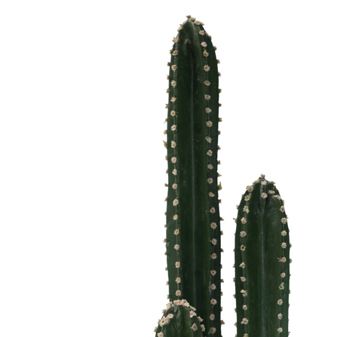 ΔΙΑΚΟΣΜΗΤΙΚΟ ΦΥΤΟ CACTUS III ΣΕ ΓΛΑΣΤΡΑ INART ΠΡΑΣΙΝΟ PP Υ85ΕΚ