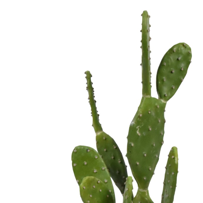 ΔΙΑΚΟΣΜΗΤΙΚΟ ΦΥΤΟ CACTUS ΣΕ ΓΛΑΣΤΡΑ INART ΠΡΑΣΙΝΟ PP Υ64ΕΚ