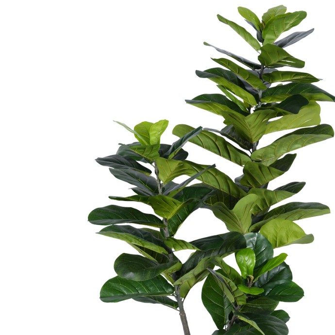 ΔΙΑΚΟΣΜΗΤΙΚΟ ΦΥΤΟ FIDDLEHEAD I ΣΕ ΓΛΑΣΤΡΑ INART ΠΡΑΣΙΝΟ PP Υ180ΕΚ