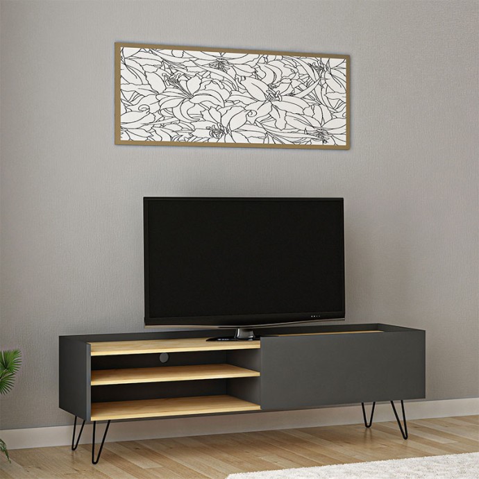 ΕΠΙΠΛΟ ΤΗΛΕΟΡΑΣΗΣ VERONICA 120x33x49,5εκ ΑΝΘΡΑΚΙ-ΦΥΣΙΚΟ 