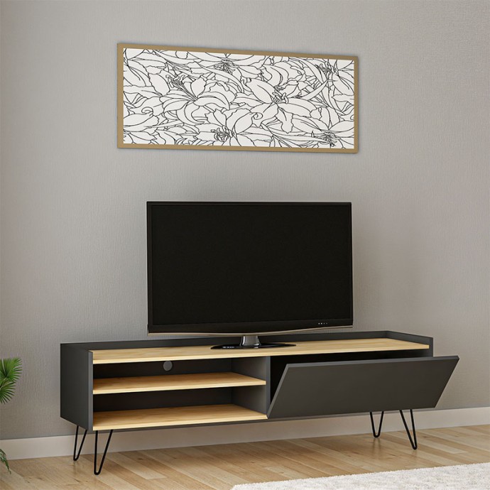 ΕΠΙΠΛΟ ΤΗΛΕΟΡΑΣΗΣ VERONICA 120x33x49,5εκ ΑΝΘΡΑΚΙ-ΦΥΣΙΚΟ 