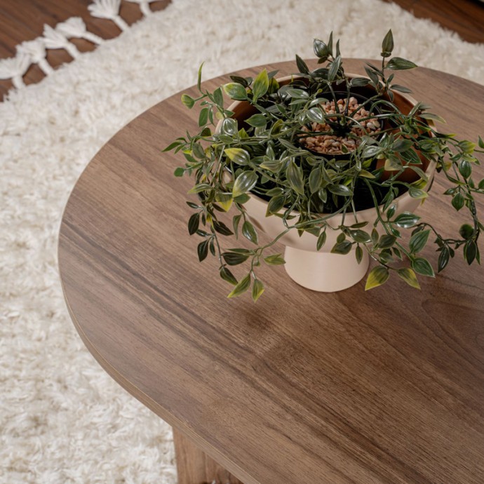 TABLETOD ΤΡΑΠΕΖΙ ΣΑΛΟΝΙΟΥ ΣΕ ΚΑΡΥΔΙ ΑΠΟΧΡΩΣΗ 119X60X40cm